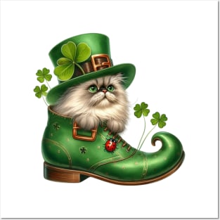 Himalayan Cat Shoes For Patricks Day Posters and Art